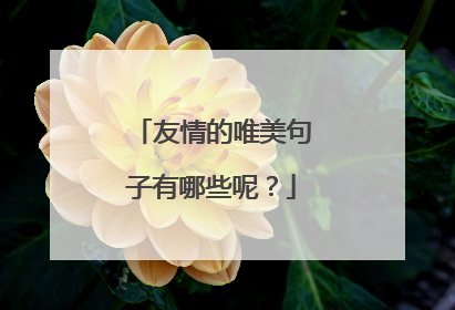 友情的唯美句子有哪些呢？