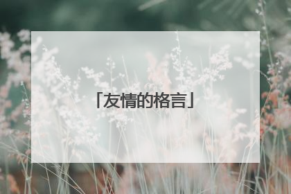 友情的格言