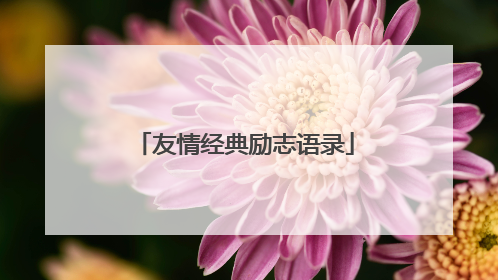 友情经典励志语录