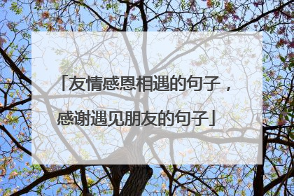 友情感恩相遇的句子，感谢遇见朋友的句子