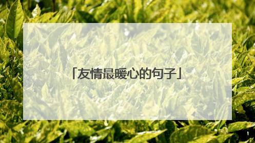 友情最暖心的句子