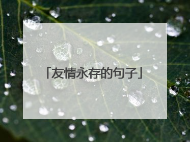 友情永存的句子