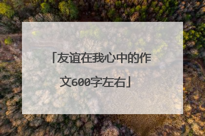 友谊在我心中的作文600字左右