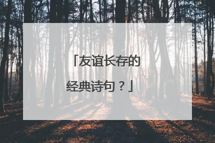 友谊长存的经典诗句？