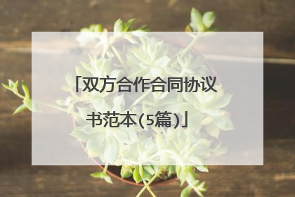 双方合作合同协议书范本(5篇)