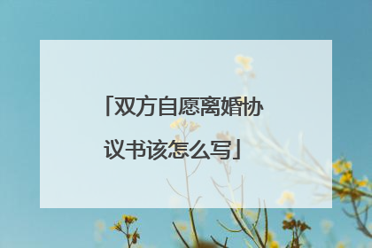 双方自愿离婚协议书该怎么写