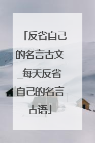 反省自己的名言古文_每天反省自己的名言古语