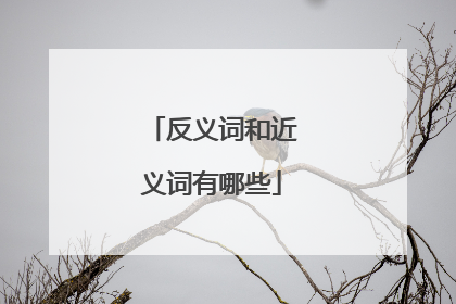 反义词和近义词有哪些