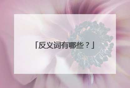 反义词有哪些？