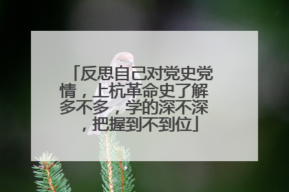反思自己对党史党情，上杭革命史了解多不多，学的深不深，把握到不到位
