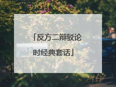 反方二辩驳论时经典套话