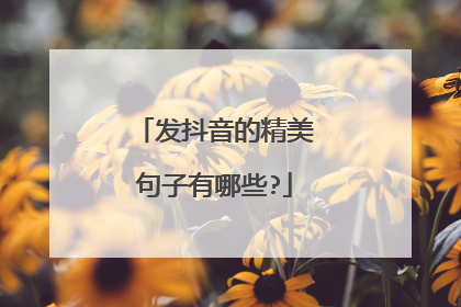 发抖音的精美句子有哪些?