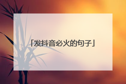发抖音必火的句子