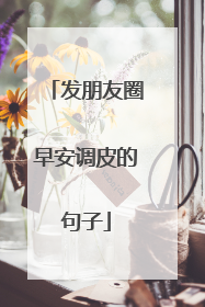 发朋友圈早安调皮的句子