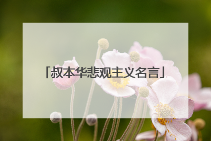 叔本华悲观主义名言