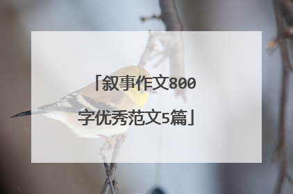 叙事作文800字优秀范文5篇