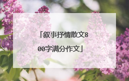 叙事抒情散文800字满分作文