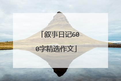 叙事日记600字精选作文