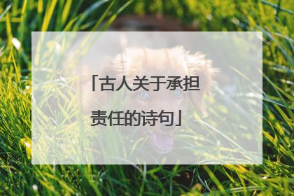 古人关于承担责任的诗句