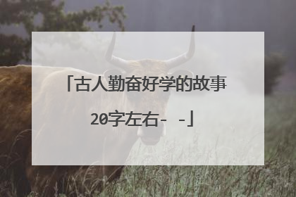 古人勤奋好学的故事 20字左右- -