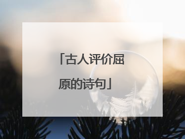 古人评价屈原的诗句