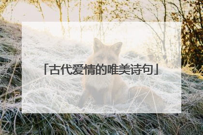 古代爱情的唯美诗句