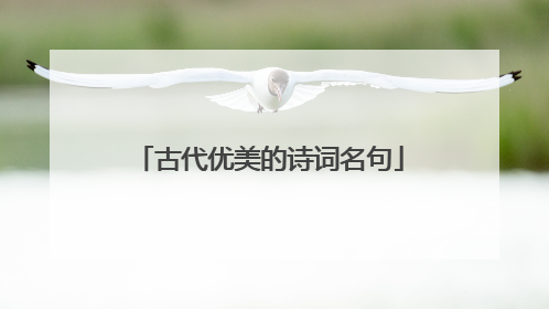 古代优美的诗词名句