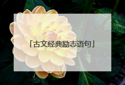 古文经典励志语句