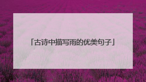 古诗中描写雨的优美句子