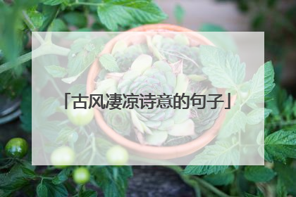 古风凄凉诗意的句子