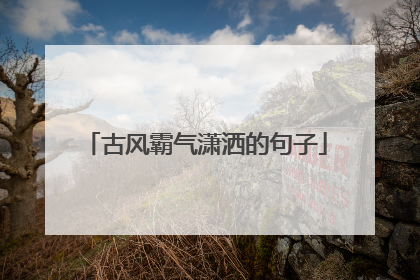 古风霸气潇洒的句子