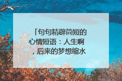 句句精辟简短的心情短语：人生啊，后来的梦想缩水了，希望也变瘦