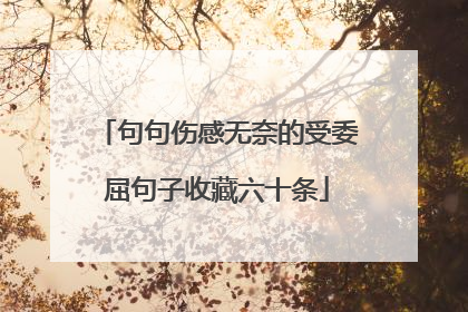 句句伤感无奈的受委屈句子收藏六十条