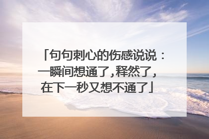 句句刺心的伤感说说：一瞬间想通了,释然了,在下一秒又想不通了