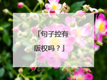 句子控有版权吗？