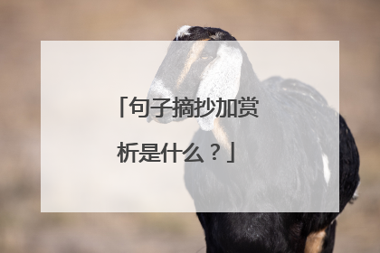 句子摘抄加赏析是什么？