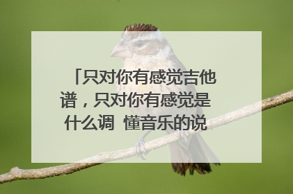 只对你有感觉吉他谱，只对你有感觉是什么调 懂音乐的说 是G调？？