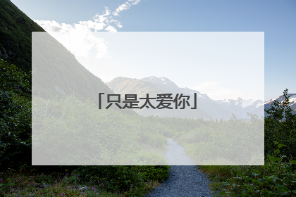 只是太爱你