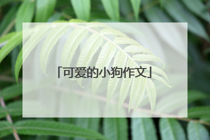 可爱的小狗作文