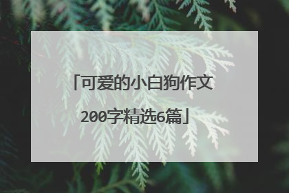 可爱的小白狗作文200字精选6篇