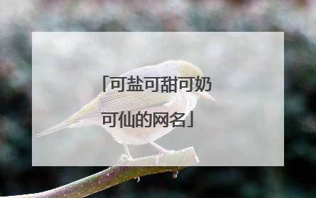 可盐可甜可奶可仙的网名