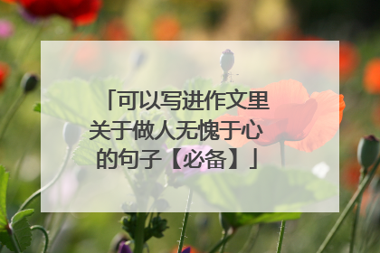 可以写进作文里关于做人无愧于心的句子【必备】