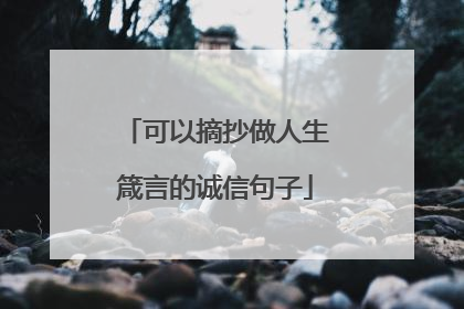 可以摘抄做人生箴言的诚信句子