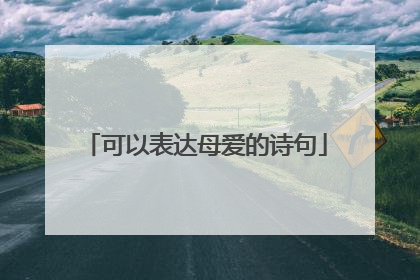 可以表达母爱的诗句