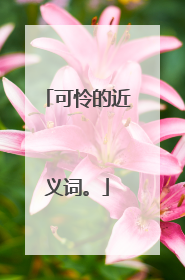 可怜的近义词。