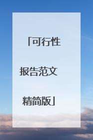 可行性报告范文精简版