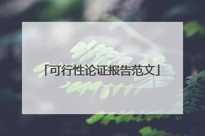 可行性论证报告范文