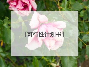 可行性计划书