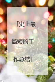 史上最简短的工作总结