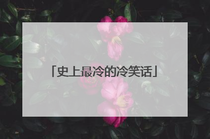 史上最冷的冷笑话